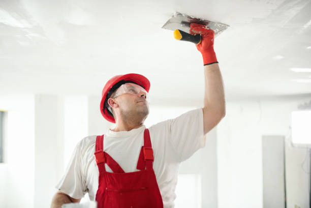 Best Airborne Mold Testing  in Kings Point, NY