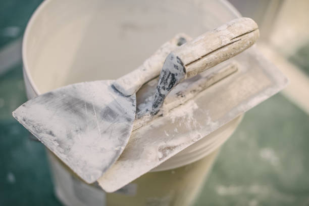 Best Real Estate Mold Inspection  in Kings Point, NY