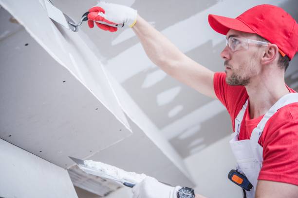 Best Mold Documentation for Insurance Claims  in Kings Point, NY